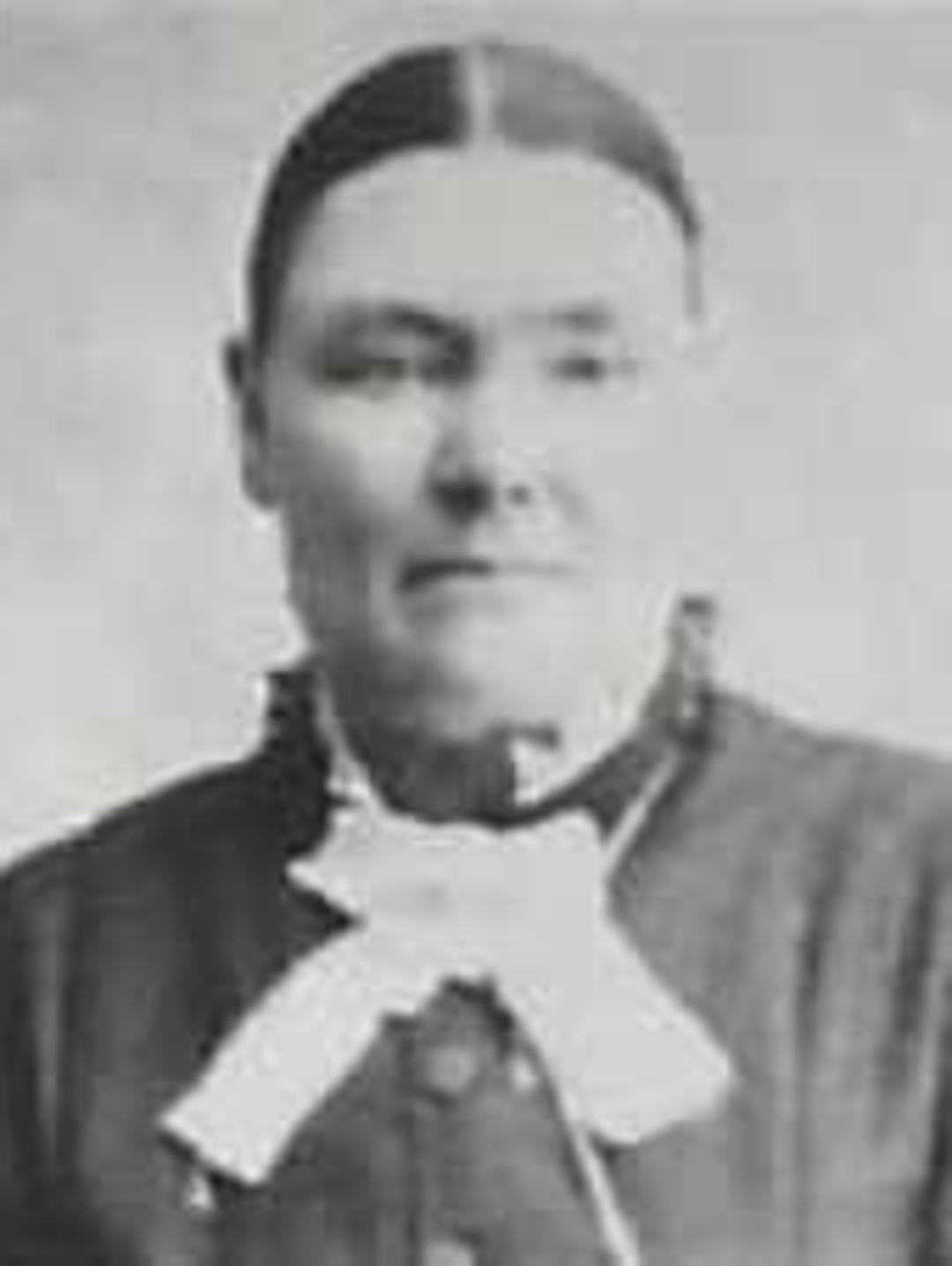 Eliza Ann Hales (1840 - 1899) Profile